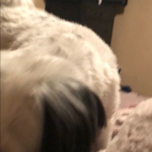 Meet your Posher, Jami